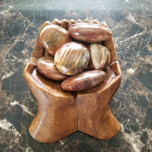 Petrified Wood Palm Stone